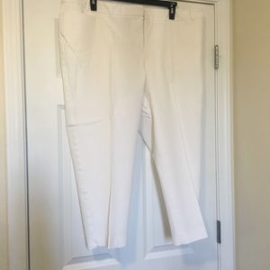 24W Lane Bryant White Dress Plus Size Capri Pants